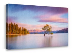 Wanaka tree