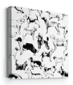 Ασπρόμαυροι σκύλοι