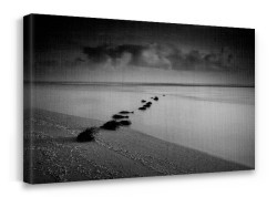 Φύκια στην παραλία