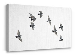 Μετανάστευση πουλιών