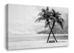 Παραλία με φοίνικες