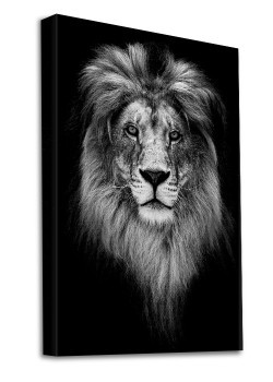 Πορτρέτο λιονταριού