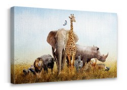 Ομάδα αφρικανικών ζώων