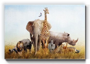 Ομάδα αφρικανικών ζώων