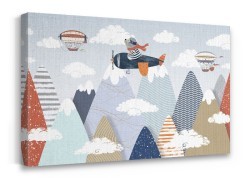 Αρκούδα σε αεροπλάνο