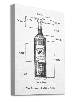 Anatomy of a Wine bottle