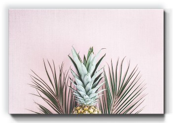 Pink Wall Pineapple