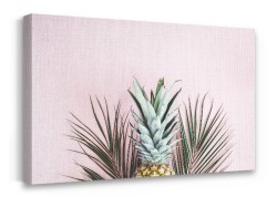 Pink Wall Pineapple