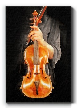 Άνδρας με βιολί