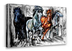 Άγρια άλογα