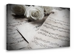 Τριαντάφυλλο και φύλλα μουσικής