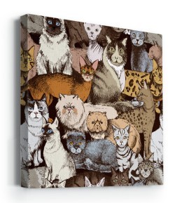 Πολύχρωμες γάτες