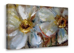 Λουλούδι Νάρκισσος