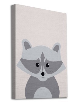 Γκρί ρακούν