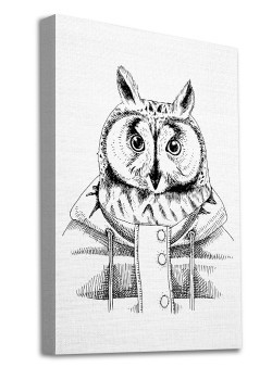 Κουκουβάγια με μπουφάν