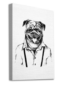 Κομψό σκυλάκι