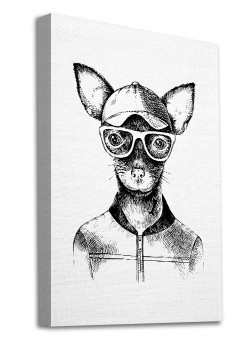 Ζωάκι με καπέλο