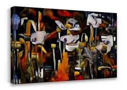 Λευκές παπαρούνες