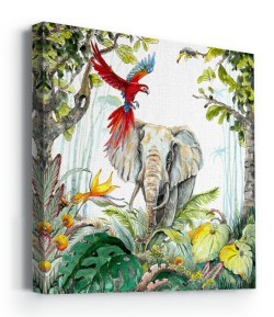 Παπαγάλος και ελέφαντας