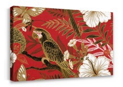 Tropical Parrot