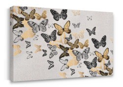 Les Papillons