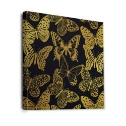 Beautiful Butterflies