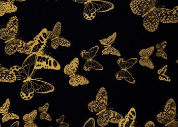 Flying Butterflies