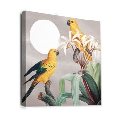 Yellow Parrots