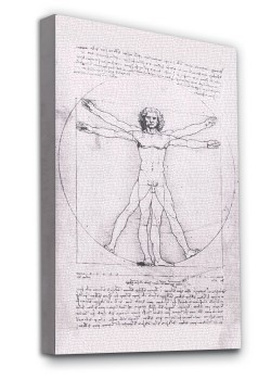 Vitruvian Man