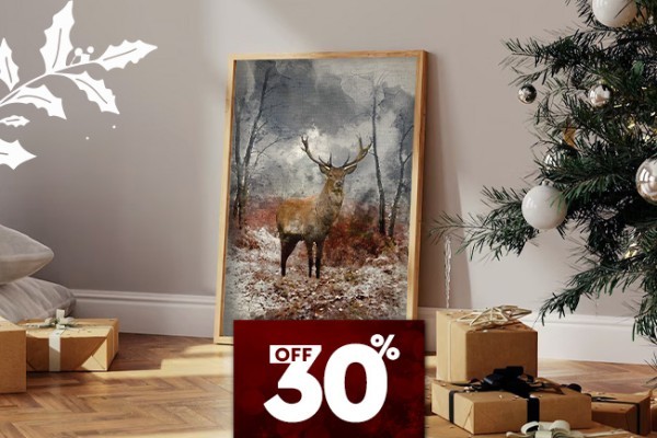 Πίνακες σε κορνίζα