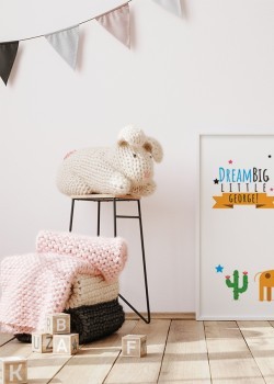 Καμηλοπάρδαλη με κάκτο