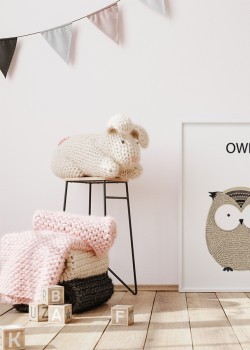 Owl