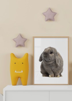 Χαριτωμένο λαγουδάκι