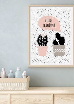 Μικροί Κάκτοι