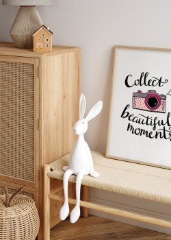 Collect beautiful moments