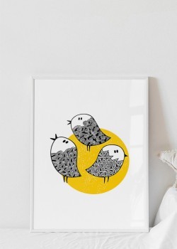 Ασπρόμαυρα πουλάκια