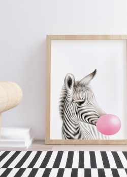 Ζέβρα με ροζ φούσκα