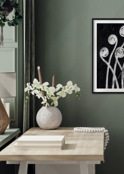 Αφηρημένες πικραλίδες