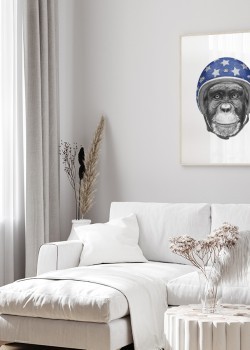 Πίθηκος με κράνος