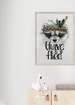 Ρακούν ινδιάνος