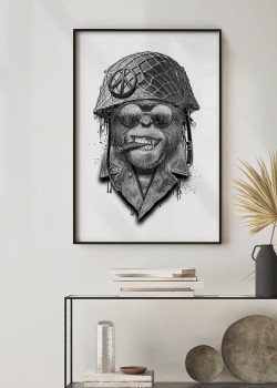 Μαϊμού στρατιώτης