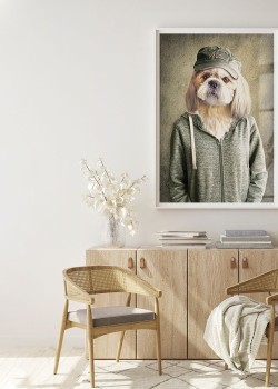 Σκύλος με ζακέτα και καπέλο