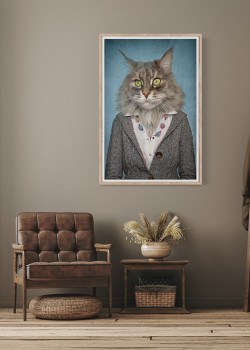 Γάτα με σακάκι