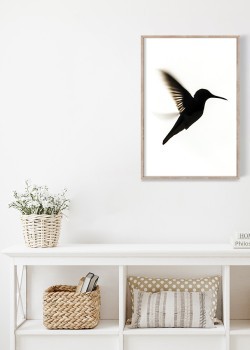 Μινιμαλ Κολιμπρί