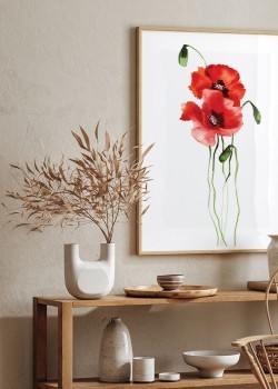 Κόκκινες παπαρούνες