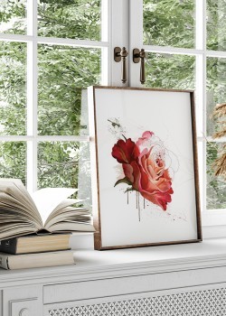 Κόκκινο Τριαντάφυλλο