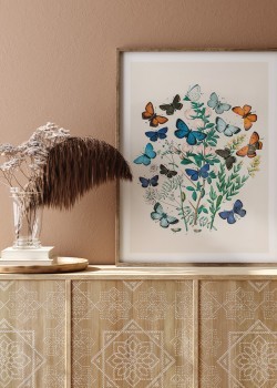 Πολύχρωμες πεταλούδες