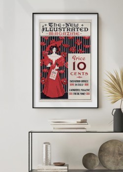 The New Illustrated Magazine