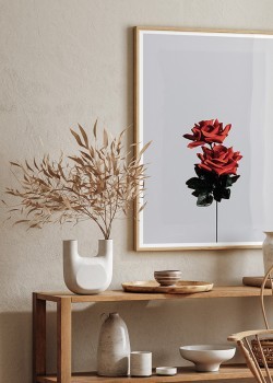 Κόκκινο Τριαντάφυλλο