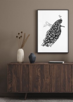 Ασπρόμαυρο Παγώνι